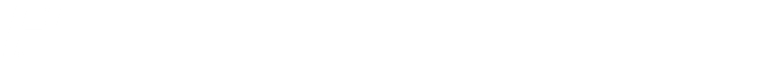 LPAA logo Website footer 1